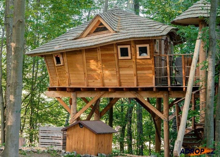Ubytování v tree housu s vlastní saunou