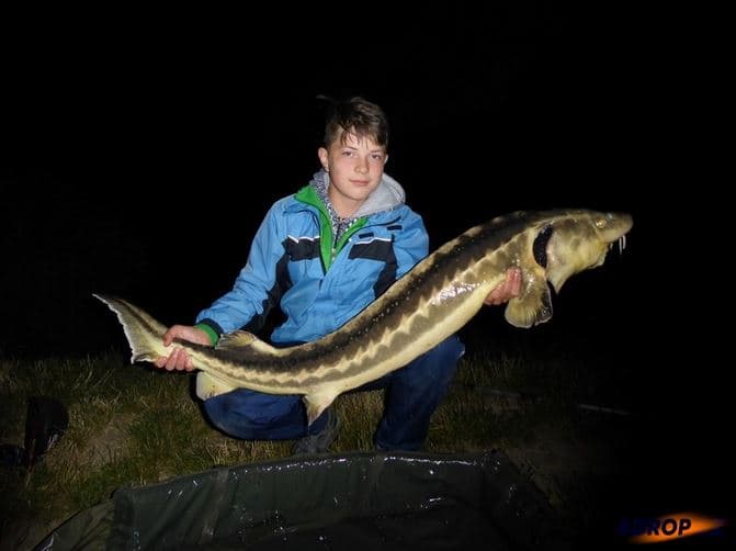 Pronájem soukromého rybníka až pro 6 rybářů