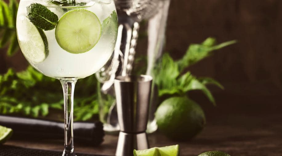 Degustace ginu + párování s tonikem