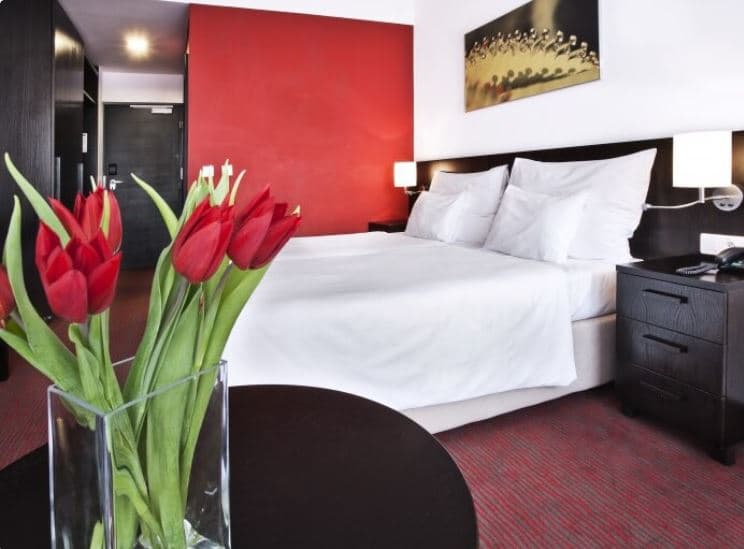Pobyt ve Wellness hotelu Vista****