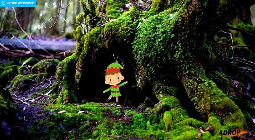 Venkovní úniková hra : Závod skřítka Čendy