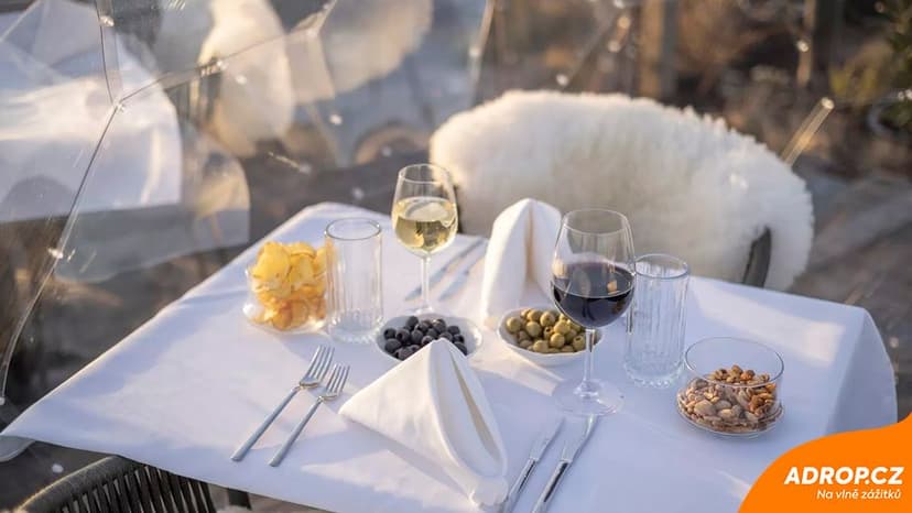 Vegetariánské aperitivo