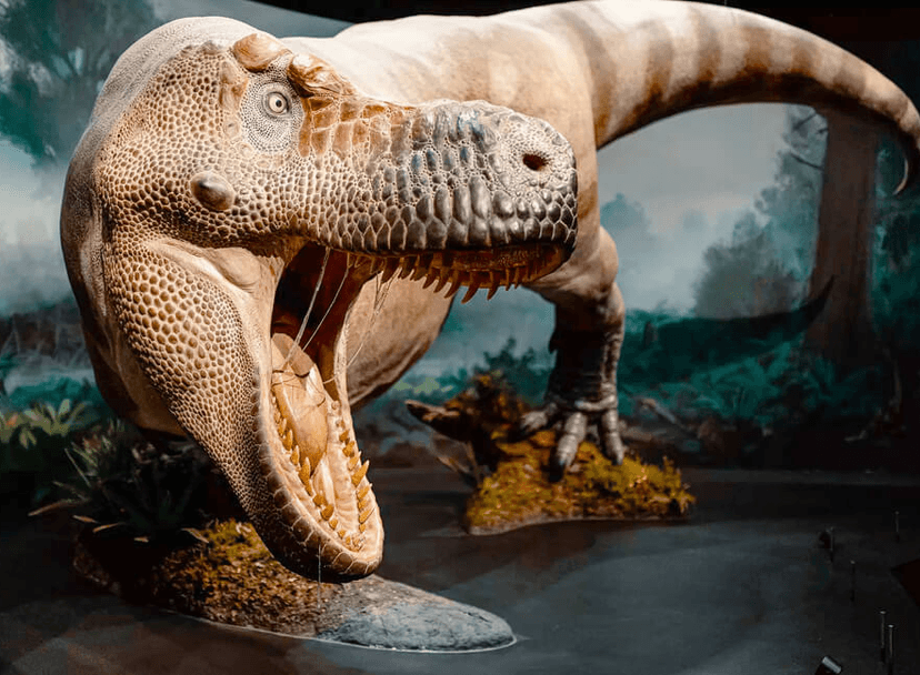 Noc v muzeu dinosaurů pro dva