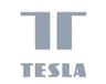 Teslasmart